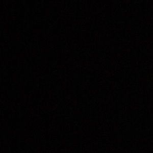 Meet your Posher, Angelina